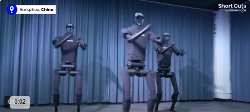 Chinese Humanoid AI Robot
